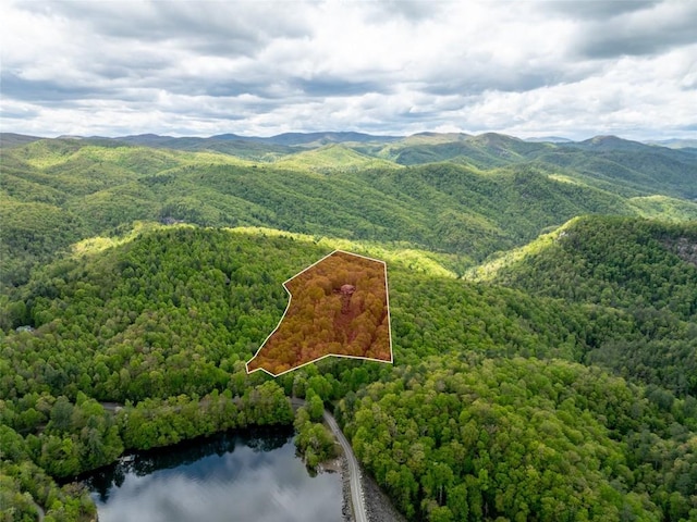 13084 Canada Rd, Tuckasegee, NC 28783 - aerial view of property and surrounding area featuring a heavily wooded area, a water and mountain view, and property parcel outlined