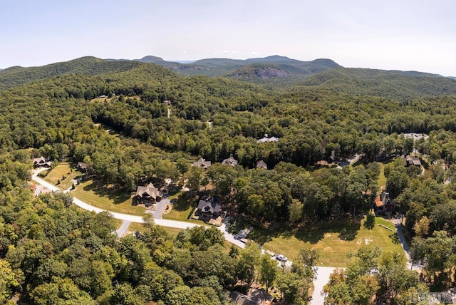 drone / aerial view with a mountain view