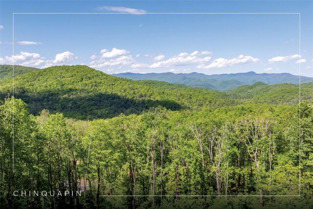 C55 Roaming Rd, Glenville, NC 28736