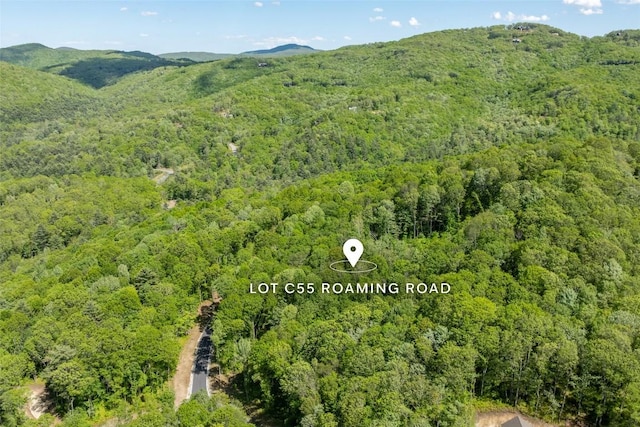 C55 Roaming Rd, Glenville, NC 28736