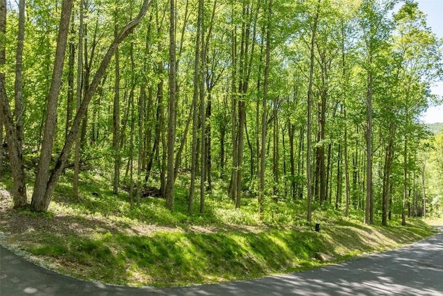 C55 Roaming Rd, Glenville, NC 28736