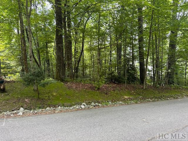 LOT52 Black Oak Dr, Sapphire NC, 28774 land for sale