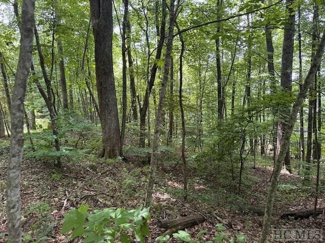 Listing photo 3 for LOT52 Black Oak Dr, Sapphire NC 28774