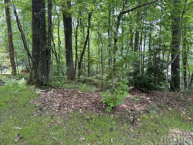 Listing photo 2 for LOT52 Black Oak Dr, Sapphire NC 28774