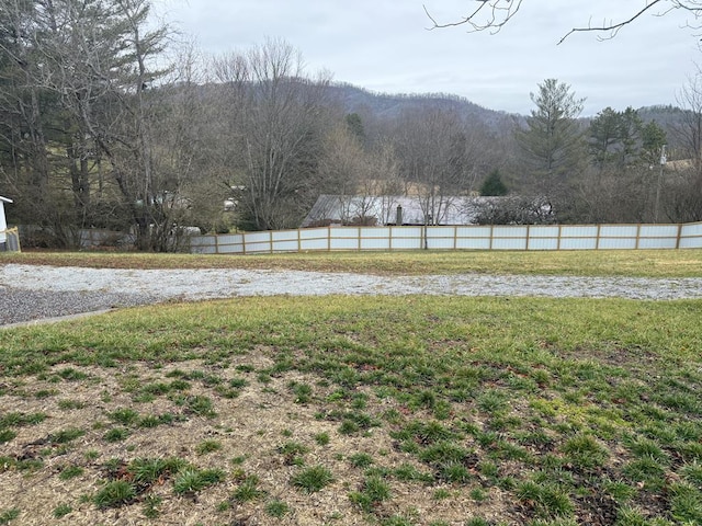 94 Breezy Knob Rd, Franklin, NC 28734 - view of yard