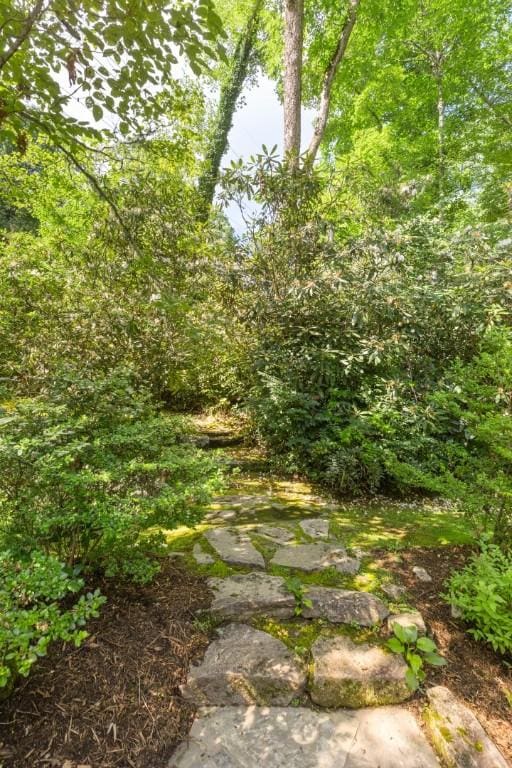 1177 Hicks Rd, Highlands, NC 28741 - photo 56