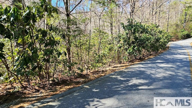 LOT138 N Buckberry Dr N, Cashiers, NC 28774