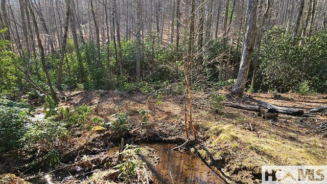 LOT138 N Buckberry Dr N, Cashiers, NC 28774