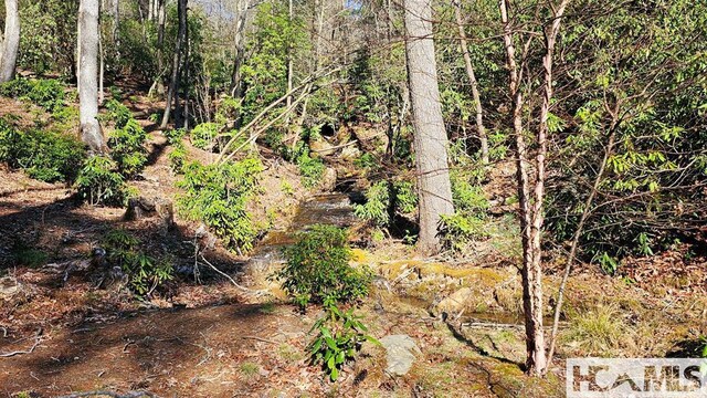 LOT138 N Buckberry Dr N, Cashiers, NC 28774