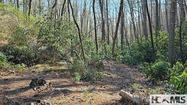 LOT138 N Buckberry Dr N, Cashiers, NC 28774