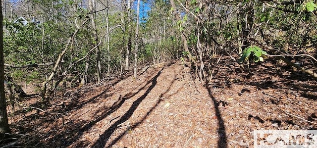 LOT138 N Buckberry Dr N, Cashiers, NC 28774