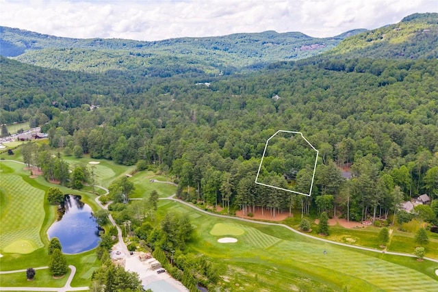 334 Back Nine Ln, Sapphire, NC 28774 - view of property location with property boundaries highlighted and a water and mountain view