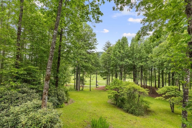 334 Back Nine Ln, Sapphire, NC 28774 - view of green lawn