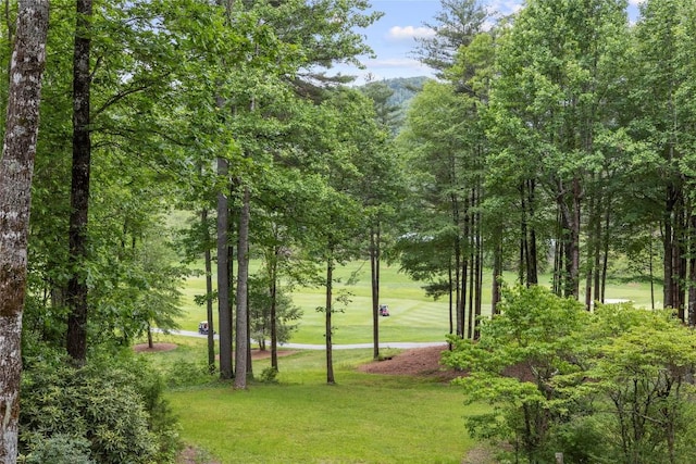 334 Back Nine Ln, Sapphire, NC 28774 - surrounding community featuring a lawn