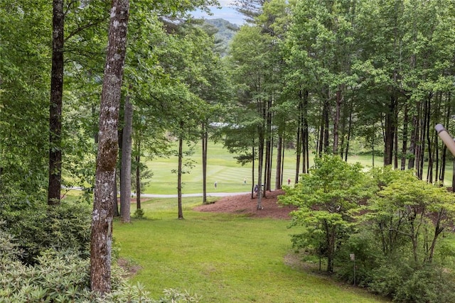 334 Back Nine Ln, Sapphire, NC 28774 - view of community featuring a yard