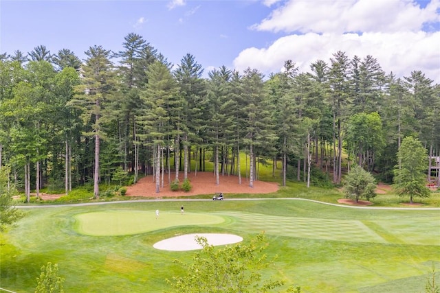 334 Back Nine Ln, Sapphire, NC 28774 - view of home's community with a putting area, view of wooded area, and golf course view