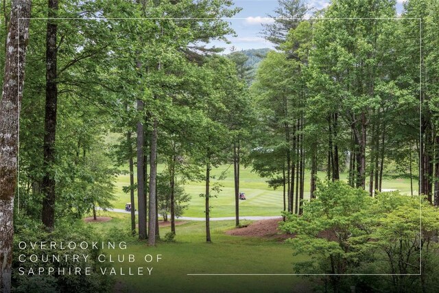 334 Back Nine Ln, Sapphire, NC 28774 - view of community with a yard