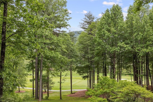 334 Back Nine Ln, Sapphire, NC 28774 - surrounding community featuring a yard