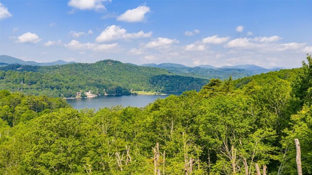 LOT1 Receptive Dr, Glenville, NC 28736 - photo 13
