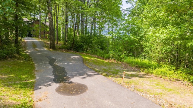 LOT1 Receptive Dr, Glenville, NC 28736 - photo 27