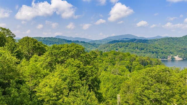LOT1 Receptive Dr, Glenville, NC 28736 - photo 15