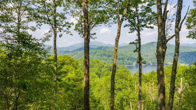 LOT1 Receptive Dr, Glenville, NC 28736 - photo 11
