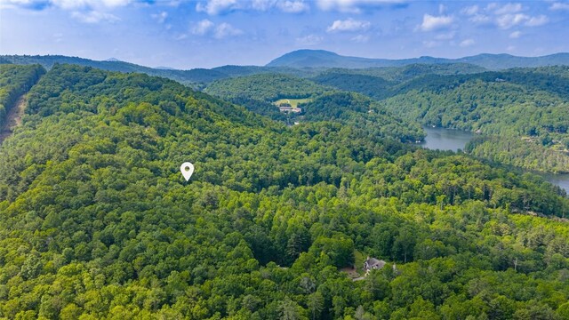 LOT1 Receptive Dr, Glenville, NC 28736 - photo 23