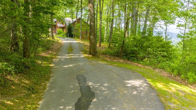 LOT1 Receptive Dr, Glenville, NC 28736 - photo 28