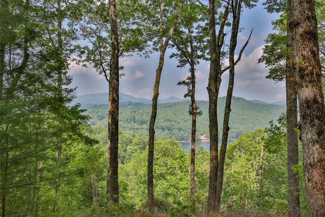 LOT1 Receptive Dr, Glenville, NC 28736 - photo 2