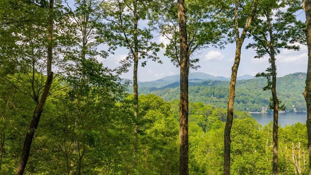 LOT1 Receptive Dr, Glenville, NC 28736 - photo 12