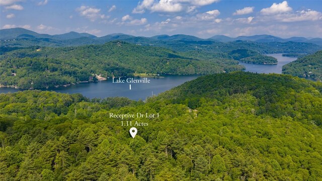 LOT1 Receptive Dr, Glenville, NC 28736 - photo 26