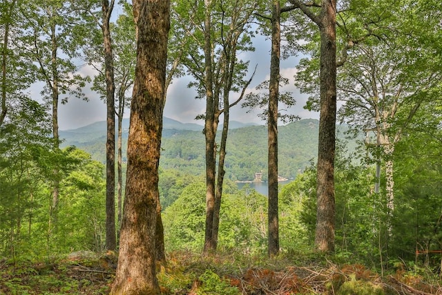 LOT1 Receptive Dr, Glenville, NC 28736 - photo 3