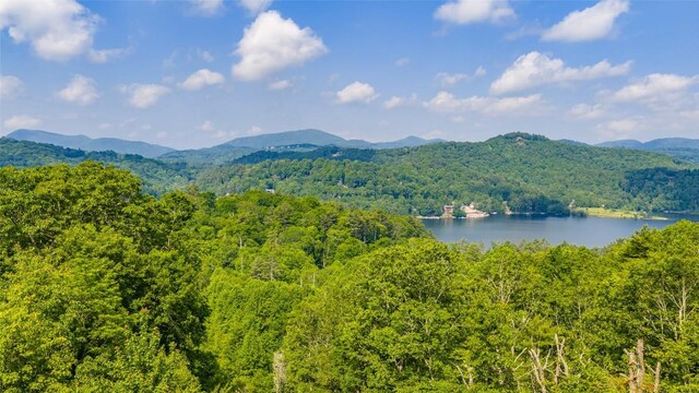 LOT1 Receptive Dr, Glenville, NC 28736 - photo 14