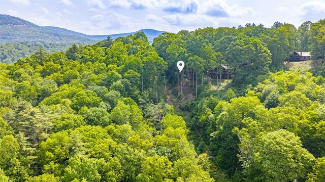 LOT1 Receptive Dr, Glenville, NC 28736 - photo 16
