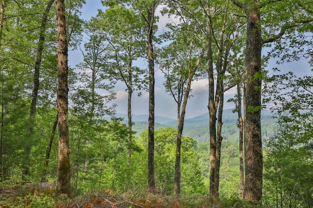 LOT1 Receptive Dr, Glenville, NC 28736 - photo 4