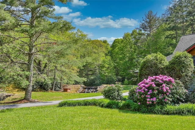 LOT1 Receptive Dr, Glenville, NC 28736 - photo 36