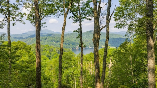 LOT1 Receptive Dr, Glenville, NC 28736 - photo 10