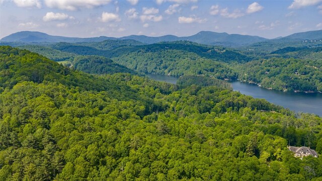 LOT1 Receptive Dr, Glenville, NC 28736 - photo 24