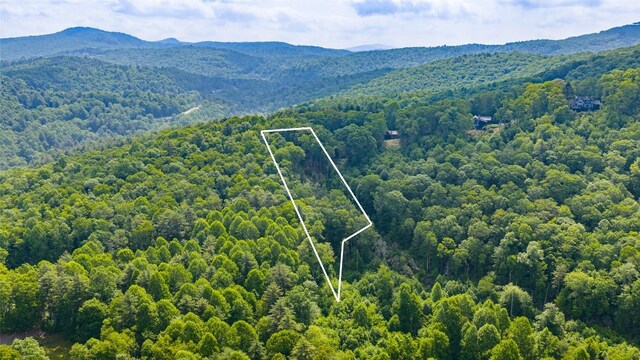 LOT1 Receptive Dr, Glenville, NC 28736 - photo 18