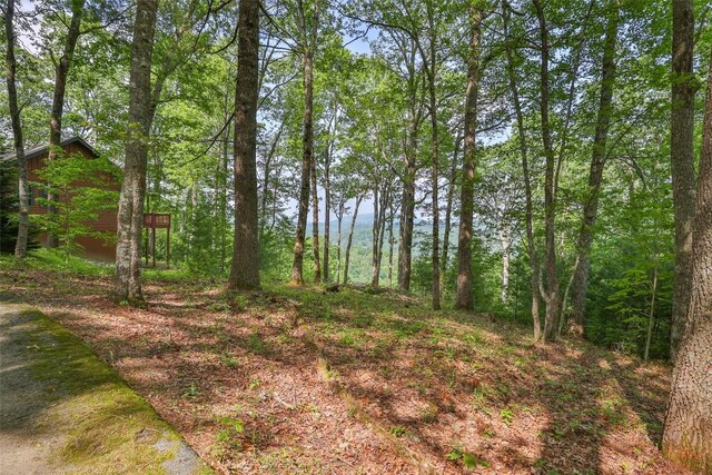 LOT1 Receptive Dr, Glenville, NC 28736 - photo 6