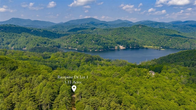 LOT1 Receptive Dr, Glenville, NC 28736 - photo 19