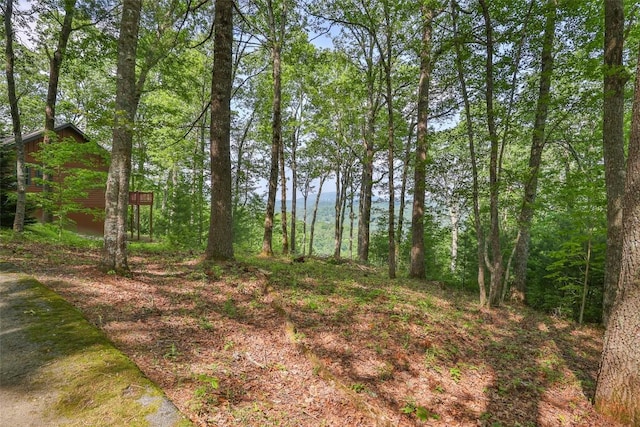 LOT1 Receptive Dr, Glenville, NC 28736 - photo 7