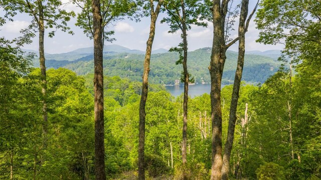 LOT1 Receptive Dr, Glenville, NC 28736 - photo 8