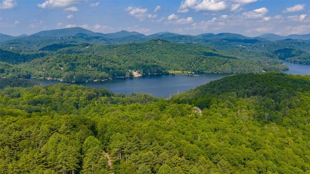 LOT1 Receptive Dr, Glenville, NC 28736 - photo 25