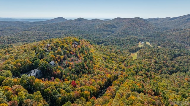 view of mountain feature