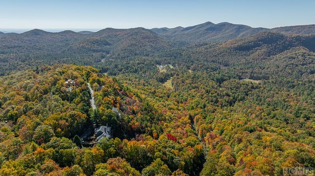 view of mountain feature