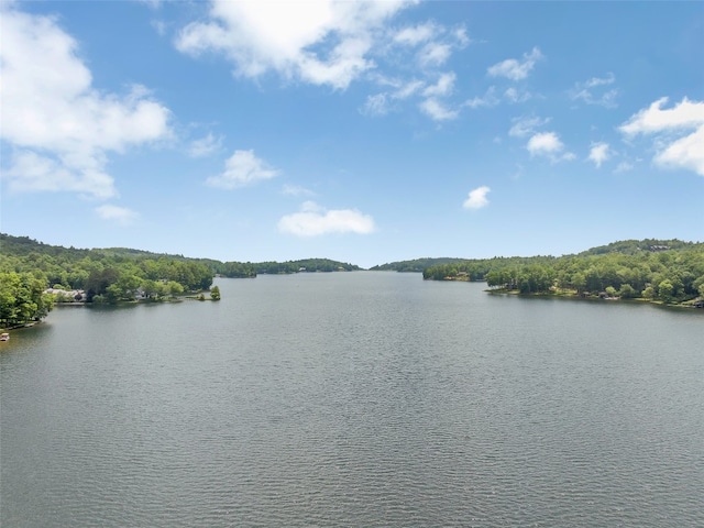 55 Toxaway Shrs Unit 14, Lake Toxaway, NC 28747 - water view with a forest