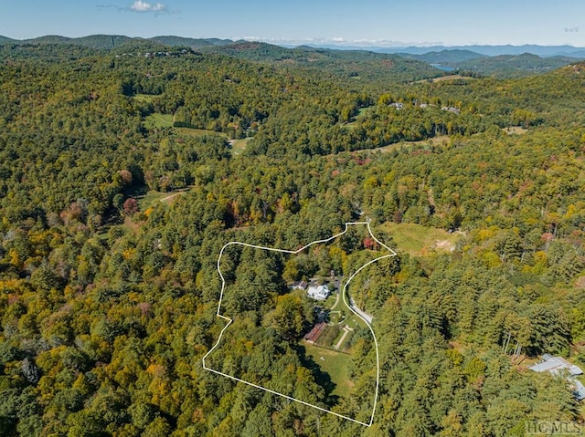 birds eye view of property featuring a mountain view