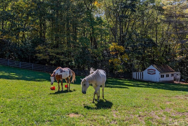 view of yard featuring a rural view and a storage shed