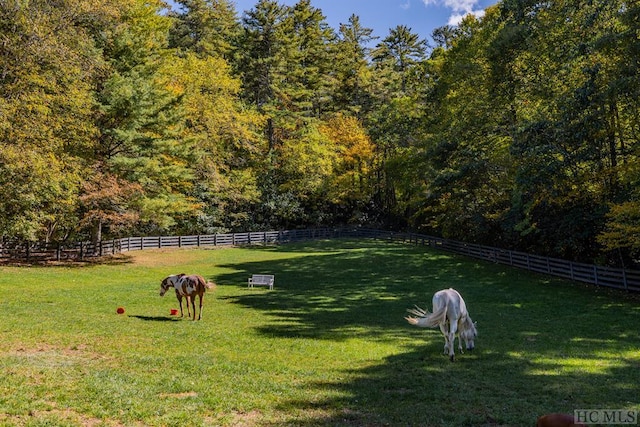 view of community featuring a lawn and a rural view